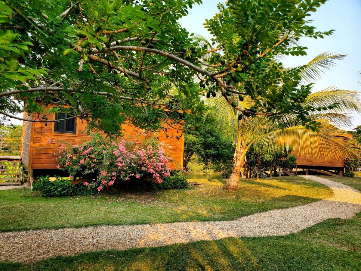 Yumas Riverfront Lodge Сан-Игнасио Экстерьер фото