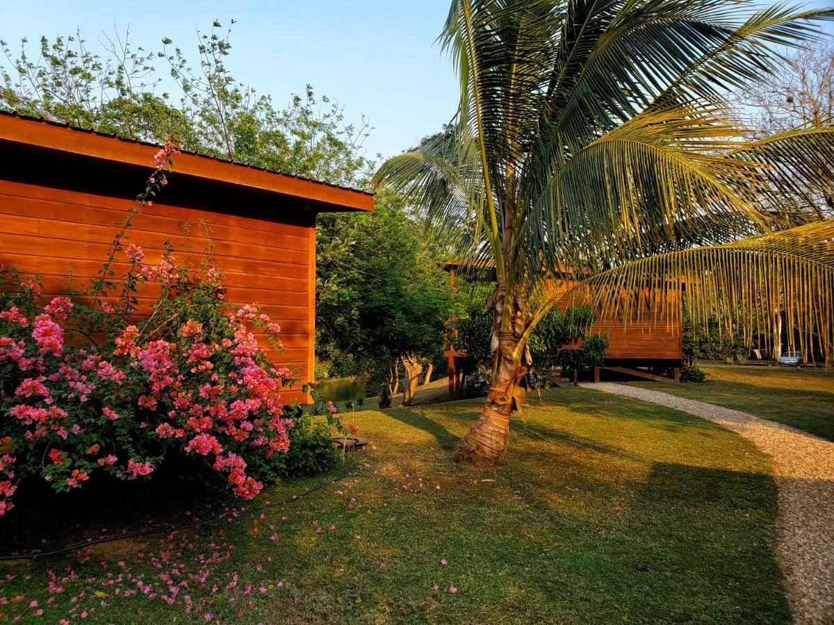 Yumas Riverfront Lodge Сан-Игнасио Экстерьер фото
