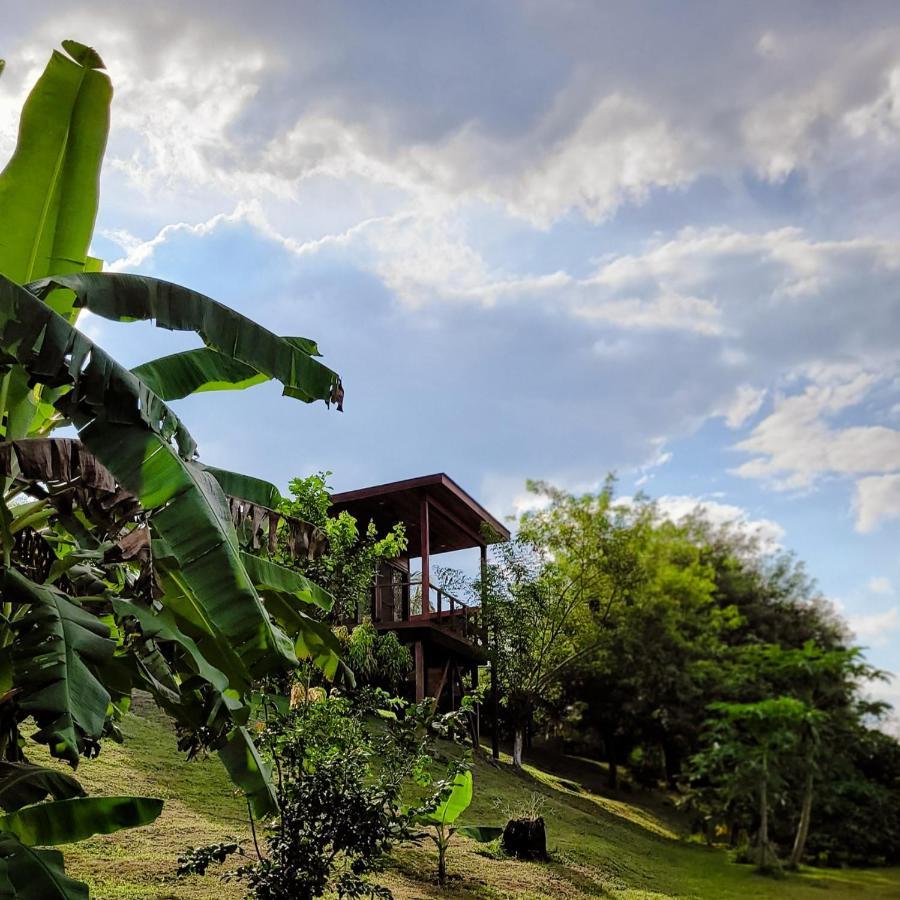 Yumas Riverfront Lodge Сан-Игнасио Экстерьер фото